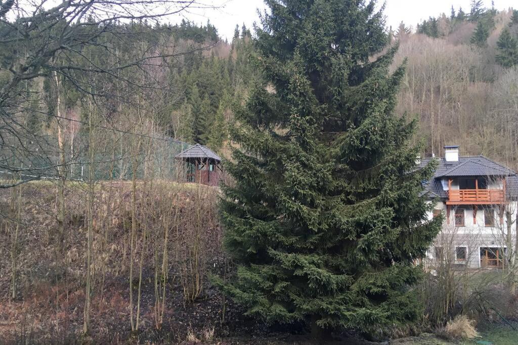 Villa Vykmanov Medenec Exteriör bild